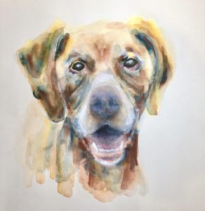 Dave the Pointer